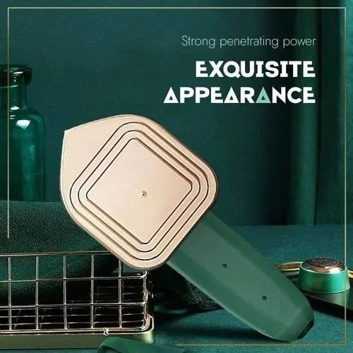 Portable Mini Steam Iron